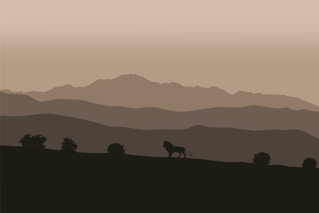 Safari